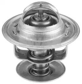 Термостат, охлаждающая жидкость SWAG купить